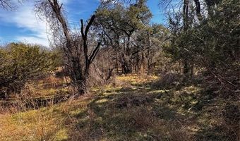 Tbd County Road 2480, Hico, TX 76457