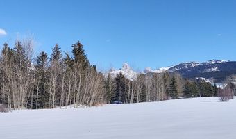 445 TARGHEE TOWNE Rd, Alta, WY 83414