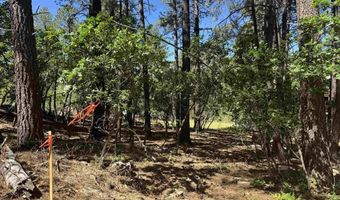 216 Fawn Dr, Bayfield, CO 81122