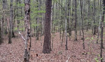 2390 Baron Dekalb Rd, Camden, SC 29020