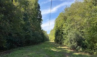 Coleman Mountain Road, Appomattox, VA 24522