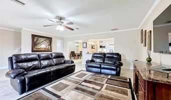 6517 SOLITAIRE PALM Way, Apollo Beach, FL 33572