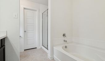 1103 Foxtail Dr, Anna, TX 75409
