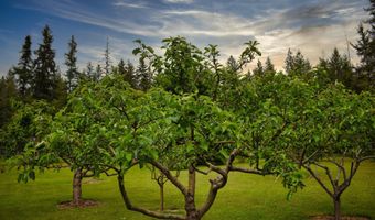 392 Shingle Mill Loop, Bonners Ferry, ID 83805