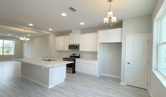 591 Pothos St, Apopka, FL 32703
