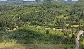 Lewis River Rd, Ariel, WA 98603