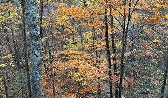 25 Ulla Ter, Acra, NY 12405