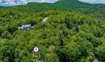 Tbd Big Bear Pen Road, Highlands, NC 28741
