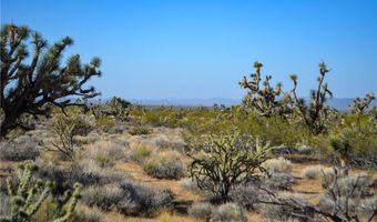 2641 S Javelina Rd, Yucca, AZ 86438
