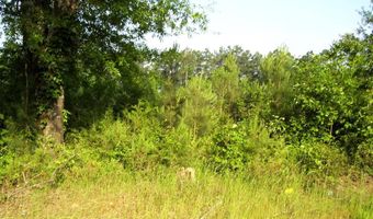 263 LR 182, Ashdown, AR 71822