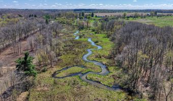 V/L W Chicago Road, Allen, MI 49227