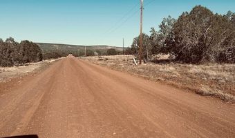 Terry Lane, Ash Fork, AZ 86046