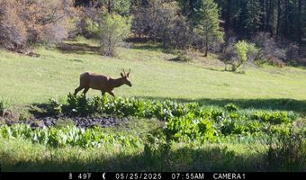 15098 CR 240, Bayfield, CO 81122
