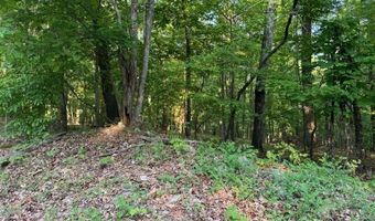0 DAVIS ACRES Dr 72 & 73, Alpine, AL 35014