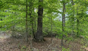 OLD MARSHALL HALL ROAD, Accokeek, MD 20607