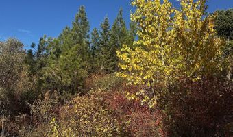 Old CC Rd, Addy, WA 99101