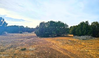 55 N Country Club Dr, Concho, AZ 85924