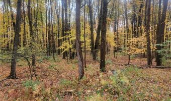 Schaen Drive, Andover, OH 44003