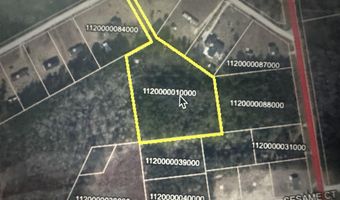 Lot 14 Louise Miles Rd, Marion, SC 29571