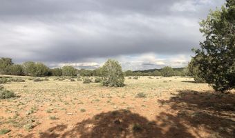 302-17 306 Haywire Rd, Ash Fork, AZ 86320