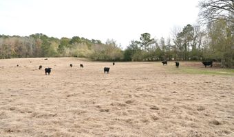 S Washington NE Street, Brookhaven, MS 39601