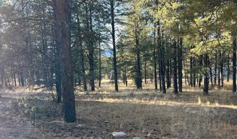 Jackson Hole lot 14, Angel Fire, NM 87710