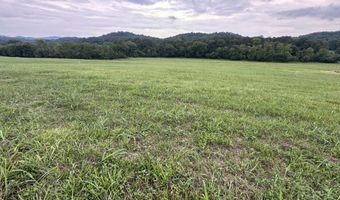 Fennell Rd, Blaine, TN 37709