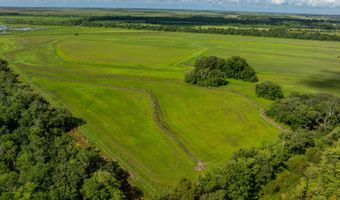 21737 Keno Rd, Abbeville, LA 70510