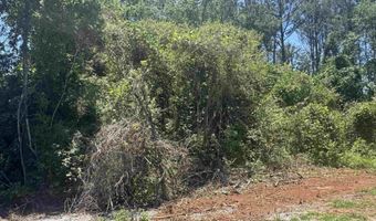 HIGHWAY 431 lot 0, Alexandria, AL 36250