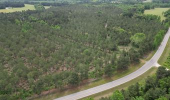 167 E W Morgan, Arcadia, LA 71001