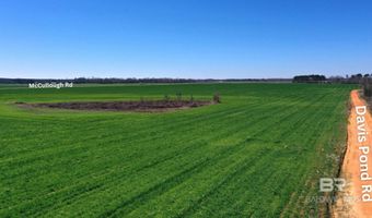 Lot 15 Davis Pond Road, Atmore, AL 36502