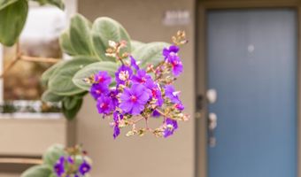 3109 La Campania, Alameda, CA 94502