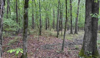 0 CR 3216, De Kalb, TX 75559