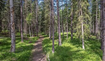 777 Mt Highway 83, Bigfork, MT 59911