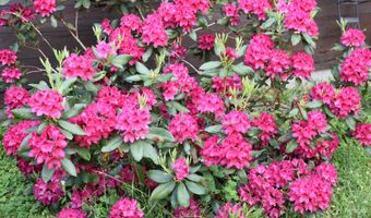 26 Woodland Dr, Barre, VT 05641