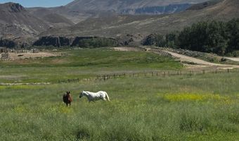 6 Homestead Trl, Challis, ID 83226