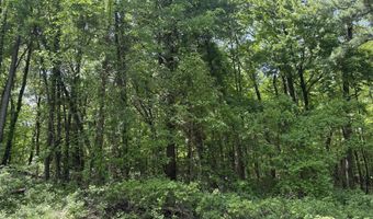 V/L New Bailey Drive NE, Ada, MI 49301