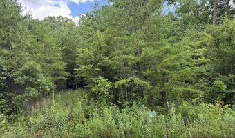 49 Bayside Blvd, Bean Station, TN 37708