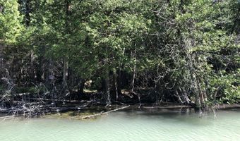 Banwell Road, Alanson, MI 49706