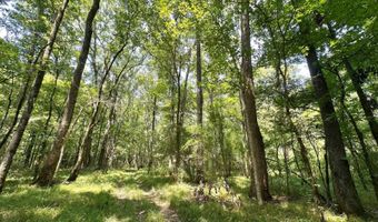 1 Champion Hill Rd, Bolton, MS 39041