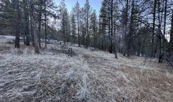 Bobcat Circle, Beatty, OR 97621