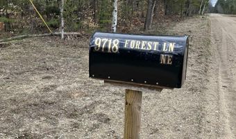 9718 NE FOREST Ln, Alden, MI 49612