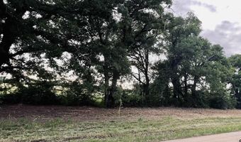 LOT 4 CR 1560, Alba, TX 75410