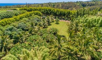 UNION MILL RD, Kapaau, HI 96755