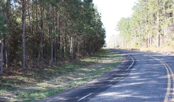 2650 Joe Miley Rd, Brunson, SC 29911