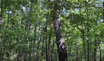 North Palestine Road, Baldwyn, MS 38824