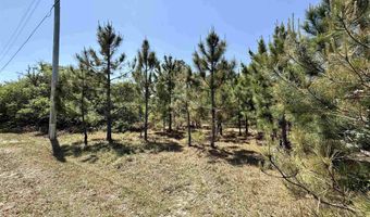 40116 W Kinnakeet Reef Ct Lot 2A, Avon, NC 27915