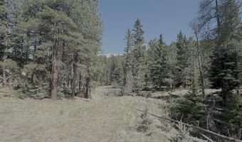 Calle de los Indios lot 58, Angel Fire, NM 87710