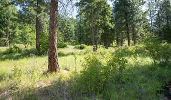 Lot 23 Pintail Dr, Bonners Ferry, ID 83805