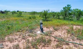 7333 County Road 463, Anson, TX 79501